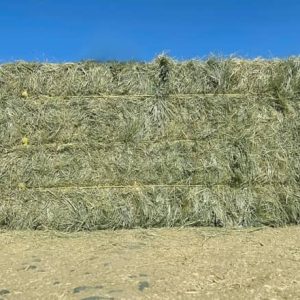 Bermuda Hay for Sale
